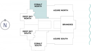 Cobalt-North-Floorplate-Floorplan-St-Pete-Waterfront-Condominiums